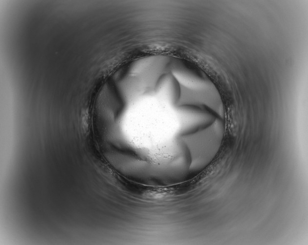 X0000096450563200802141514