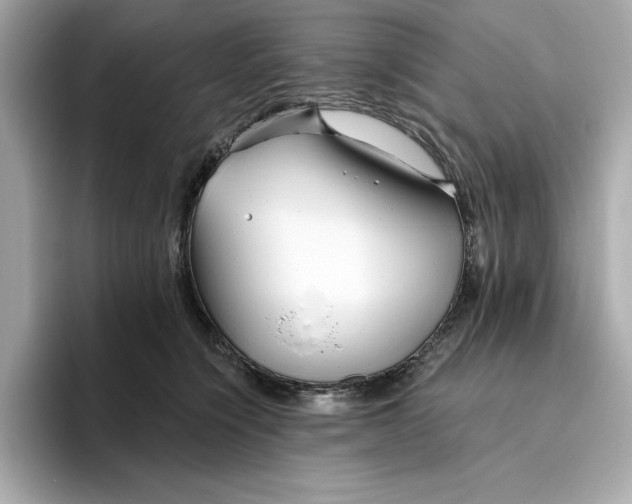 X0000096450564200802141514