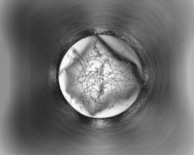 X0000096450565200802141514