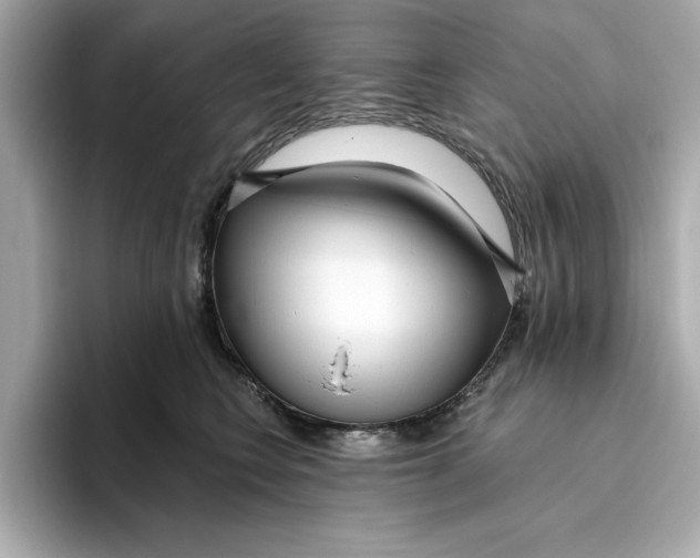 X0000096450566200802141514