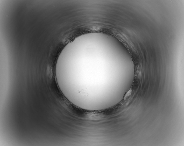 X0000096450568200802141514