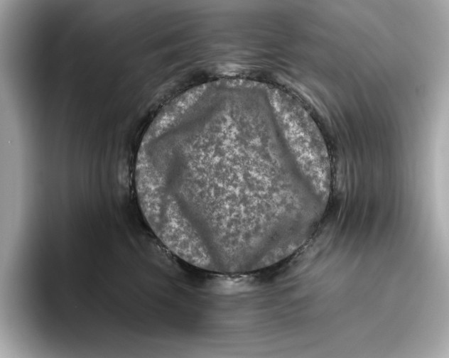 X0000096450569200802141514