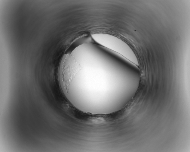 X0000096450572200802141514