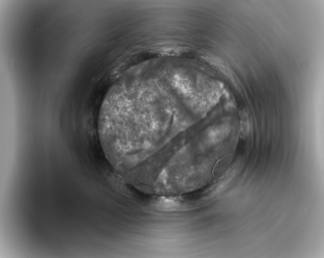 X0000096450573200802141514