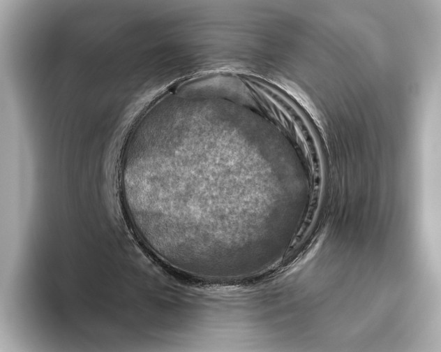 X0000096450577200802141514