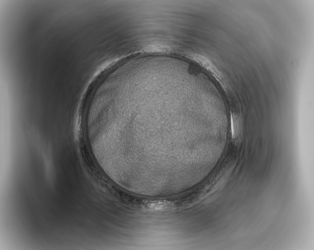 X0000096450579200802141514