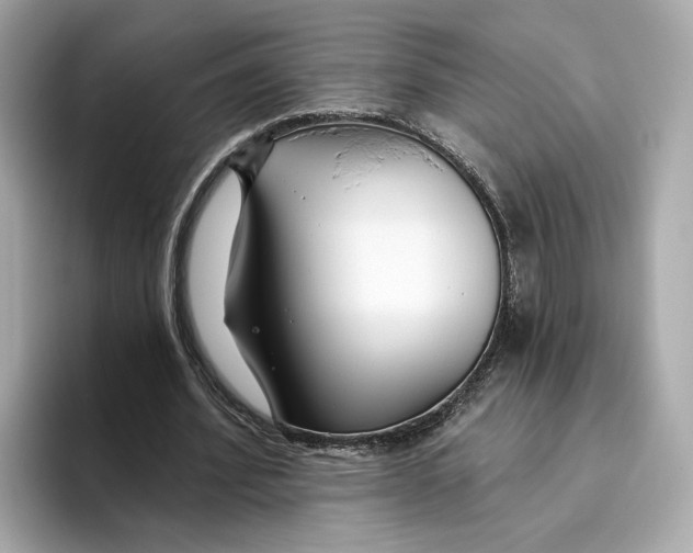 X0000096450580200802141514