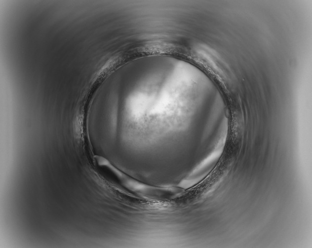 X0000096450585200802141514