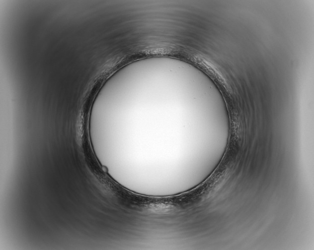 X0000096450586200802141514