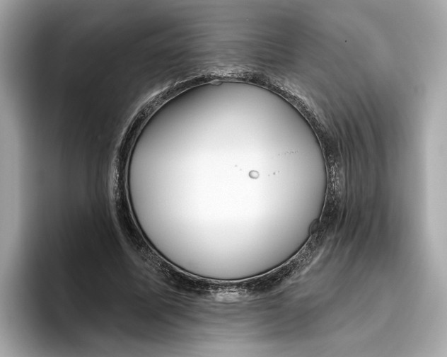 X0000096450587200802141514