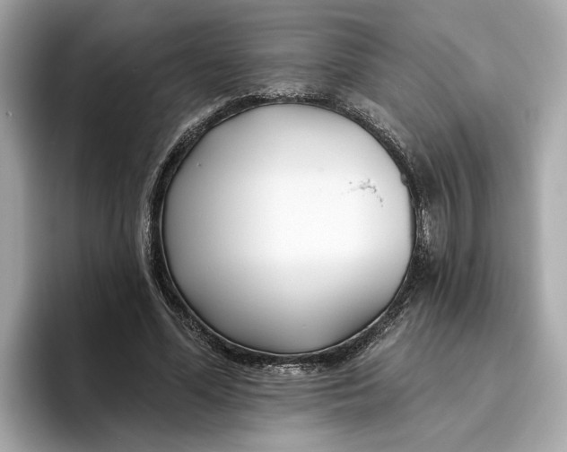 X0000096450588200802141514