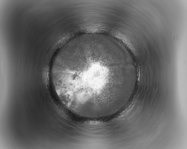 X0000096450590200802141514