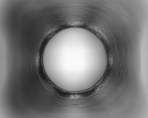 X0000096450591200802141514