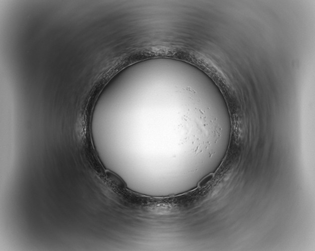 X0000096450593200802141514