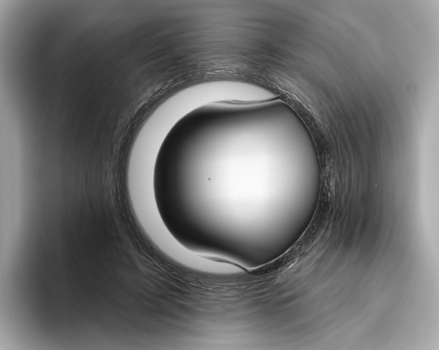 X0000096450595200802141514