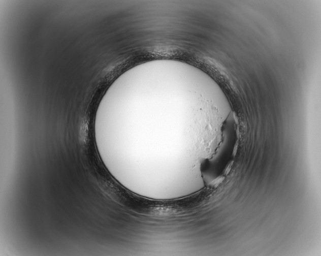 X0000096450596200802141514