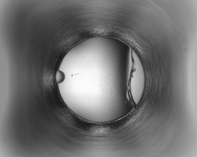 X0000096450597200802141514