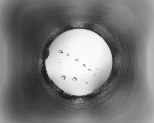 X0000096450600200802141514