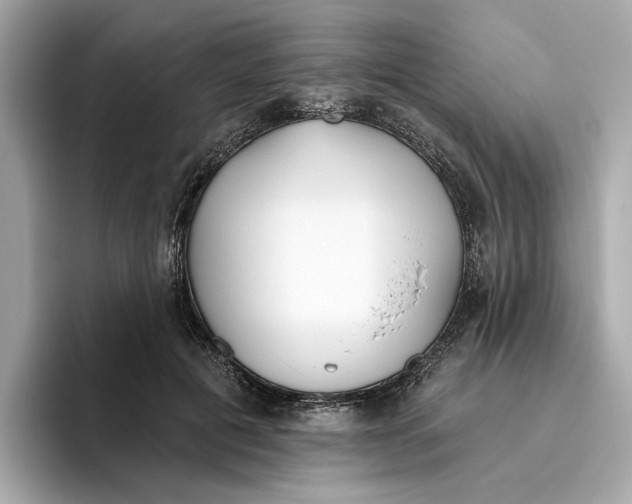 X0000096450601200802141514