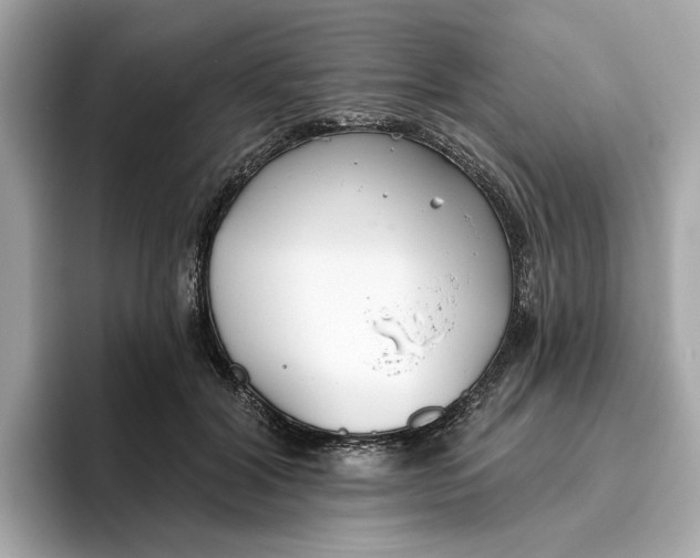 X0000096450604200802141513