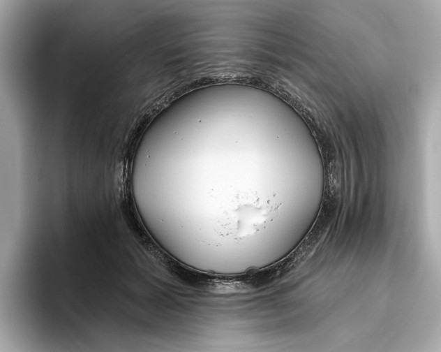 X0000096450605200802141513