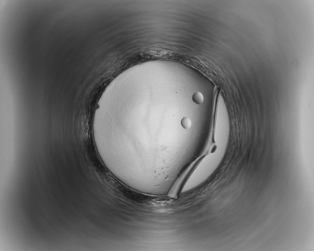 X0000096450606200802141513