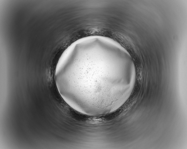 X0000096450607200802141513