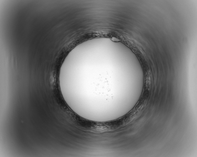 X0000096450608200802141513