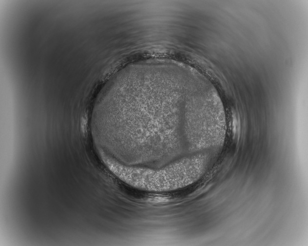 X0000096450610200802141513