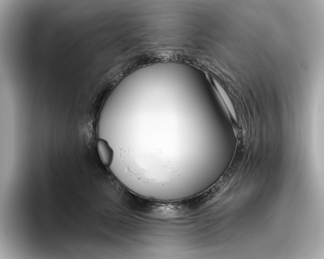 X0000096450611200802141513