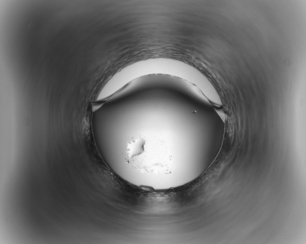 X0000096450613200802141513