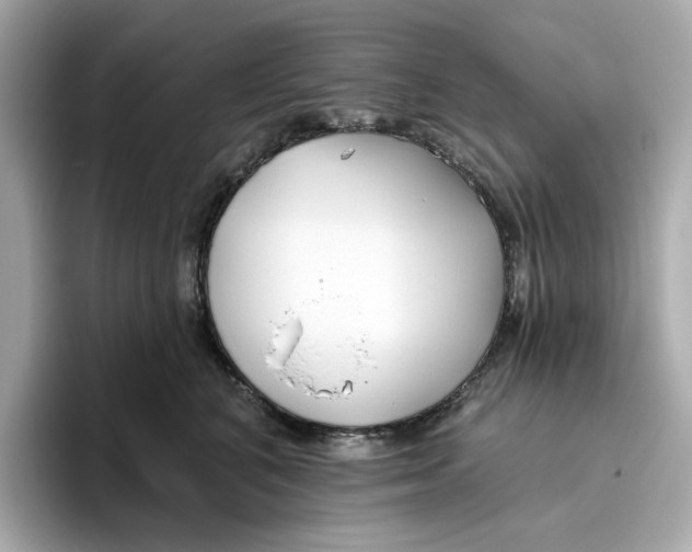 X0000096450616200802141513