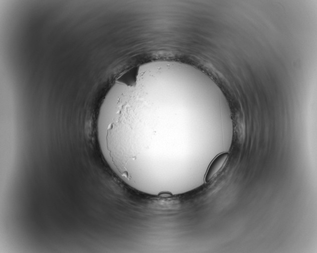 X0000096450619200802141513