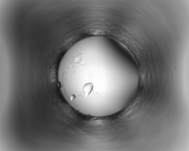 X0000096450620200802141513