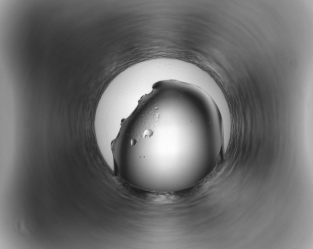 X0000096450621200802141513