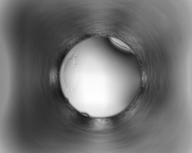 X0000096450623200802141513