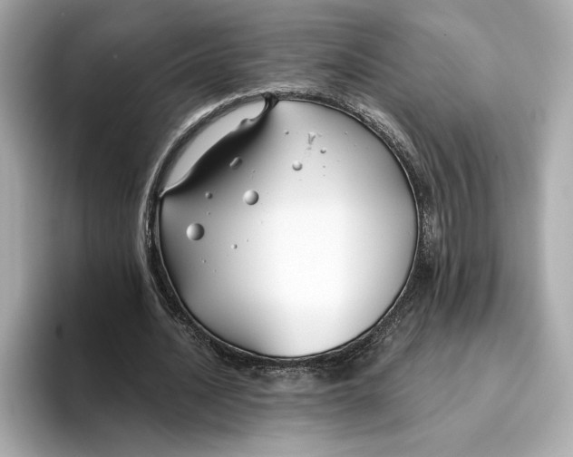 X0000096450628200802141513