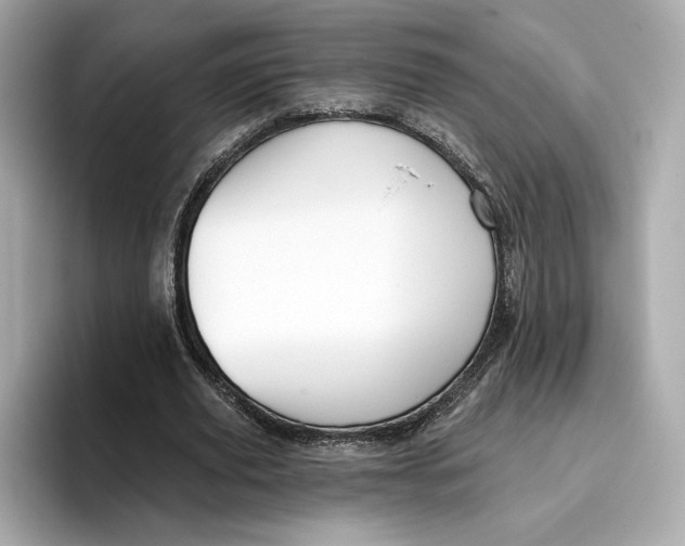 X0000096450629200802141513