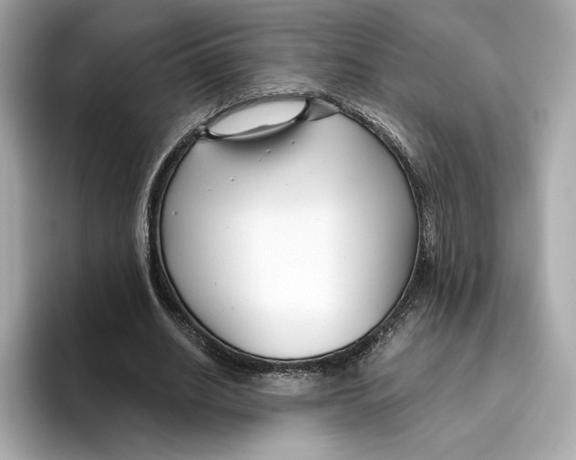 X0000096450630200802141513