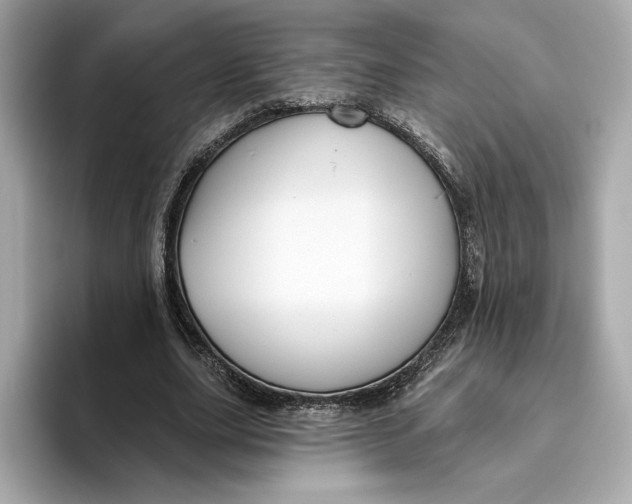 X0000096450631200802141513