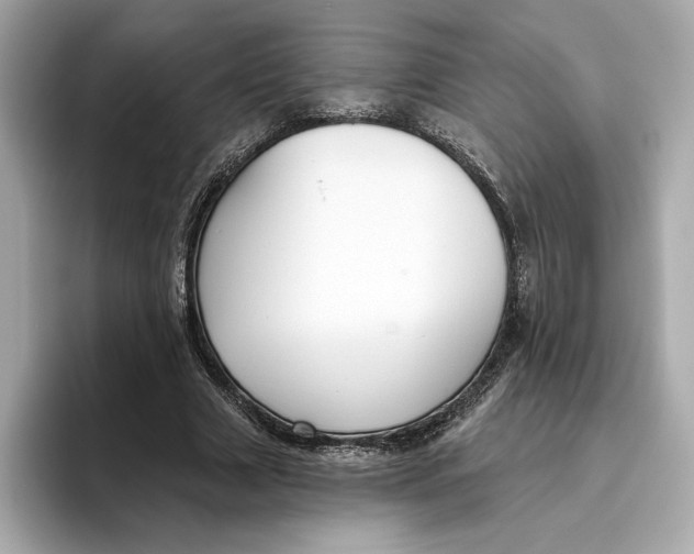 X0000096450633200802141513