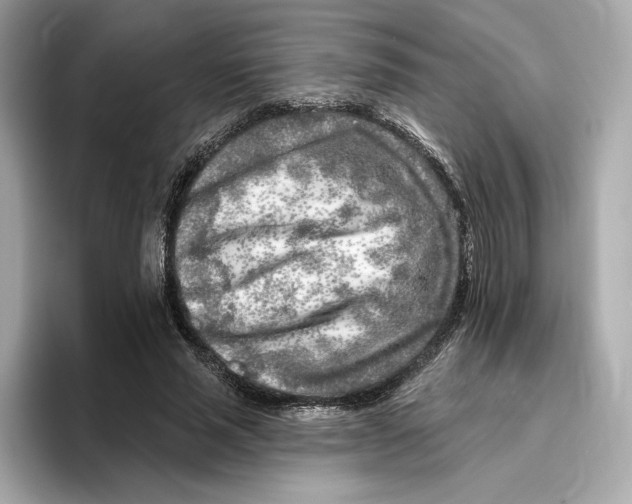 X0000096450637200802141513