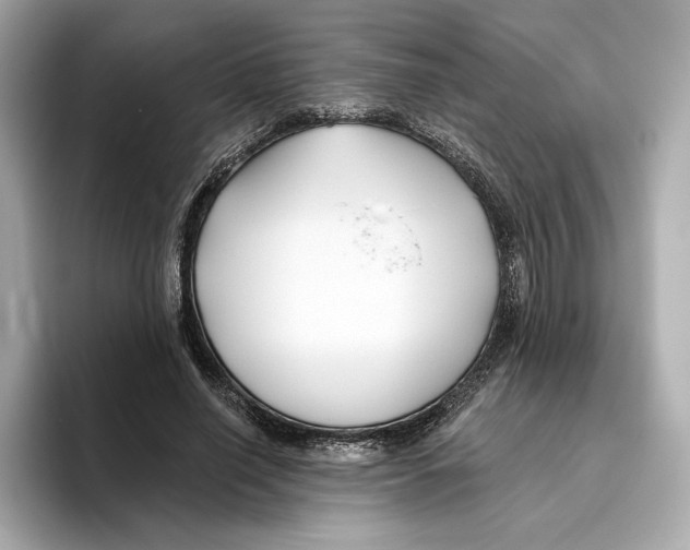 X0000096450638200802141513