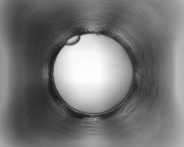 X0000096450639200802141513