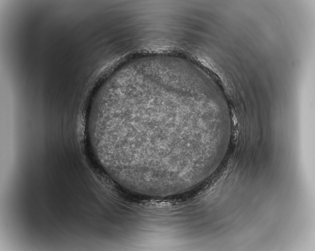 X0000096450640200802141513