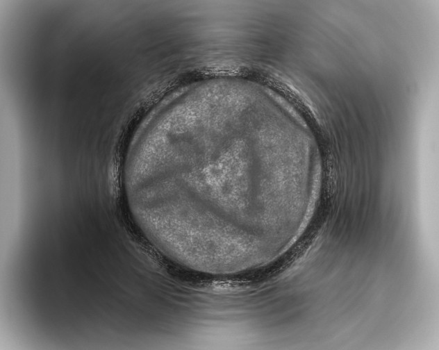 X0000096450641200802141513