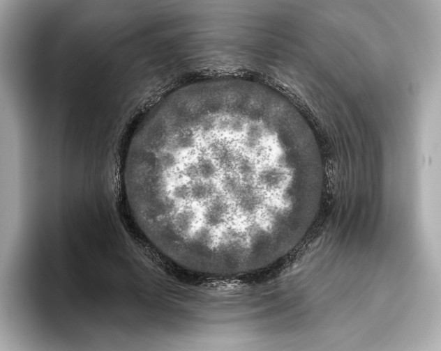 X0000096450642200802141513