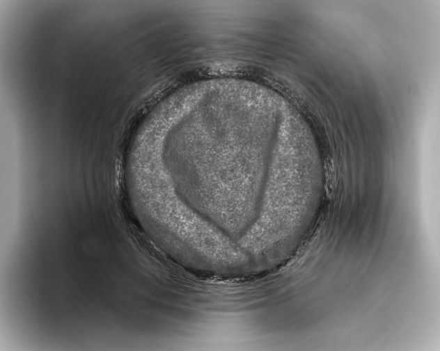 X0000096450648200802141513