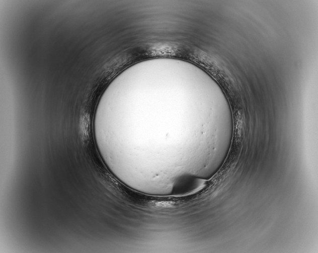 X0000096450649200802141513