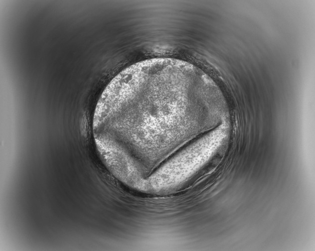 X0000096450651200802141513